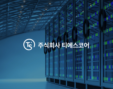 tscore  Responsive web design by Web agency Helloweb Seoul, Korea